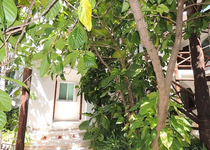 Casaejido 3*